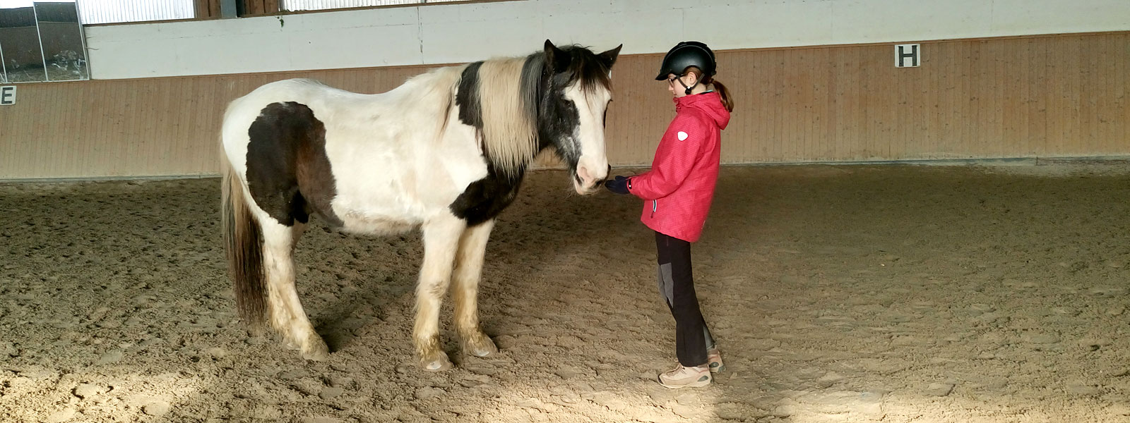 Kind baut eine Beziehung zum Pferd auf